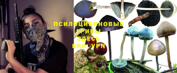 прущая мука Верхний Тагил