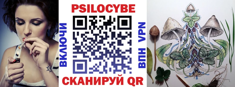 мега как зайти  где купить наркоту  Вышний Волочёк  Галлюциногенные грибы Magic Shrooms 